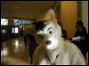 [TuxSkunk 2 FC2006 248]