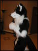 [TuxSkunk 2 FC2006 260]