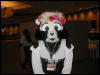 [TuxSkunk 2 FC2006 274]