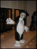 [TuxSkunk 2 FC2006 275]