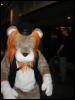 [TuxSkunk 3 FC2006 058]