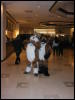 [TuxSkunk 3 FC2006 061]