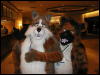 [TuxSkunk 3 FC2006 062]