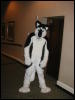 [TuxSkunk 3 FC2006 063]