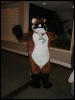 [TuxSkunk 3 FC2006 066]