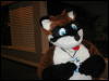 [TuxSkunk 3 FC2006 068]