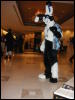 [TuxSkunk 3 FC2006 078]