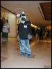 [TuxSkunk 3 FC2006 079]