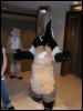 [TuxSkunk 4 FC2006 005]