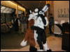 [TuxSkunk 4 FC2006 021]