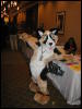 [TuxSkunk 4 FC2006 031]