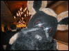 [TuxSkunk 4 FC2006 038]