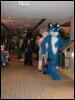 [TuxSkunk 3 FC2006 218]