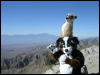 [Aoi 20060114 JoshuaTree018]