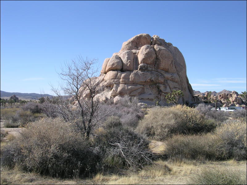 [Aoi_20060114_JoshuaTree023.jpg]