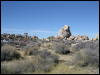 [Aoi 20060114 JoshuaTree024]