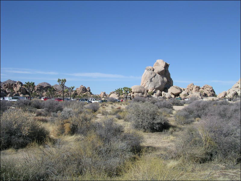 [Aoi_20060114_JoshuaTree024.jpg]