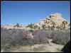 [Aoi 20060114 JoshuaTree028]