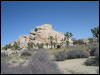 [Aoi 20060114 JoshuaTree030]