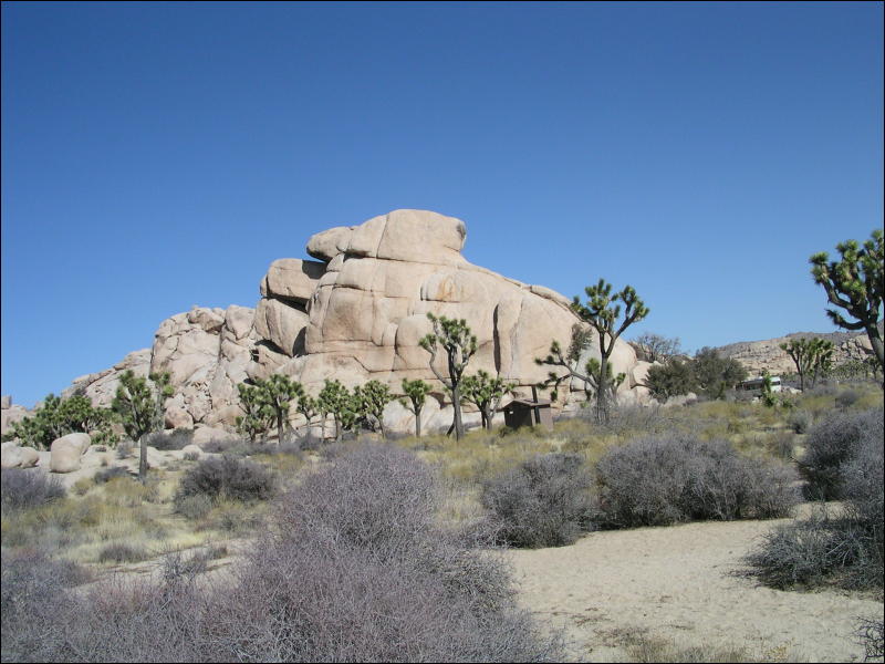 [Aoi_20060114_JoshuaTree030.jpg]