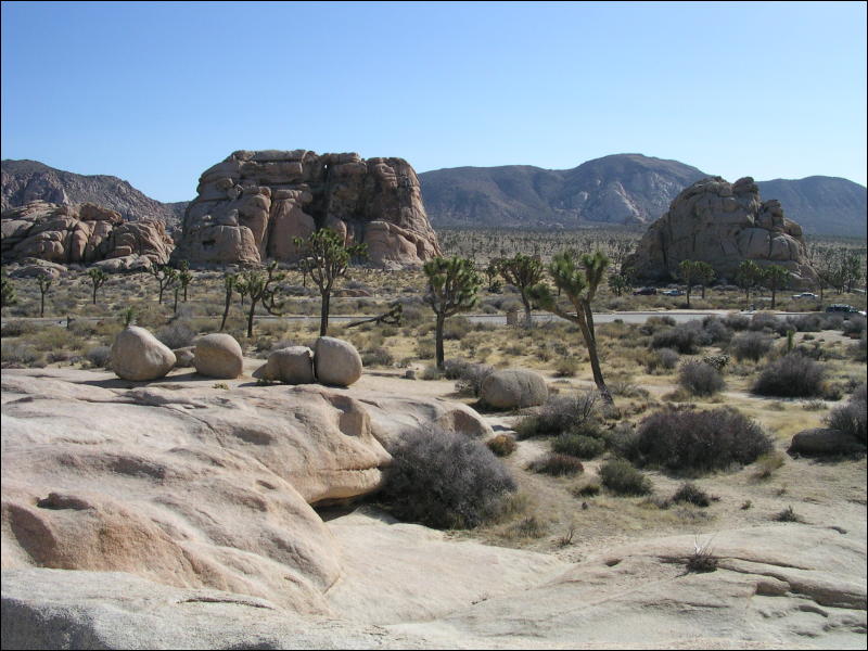 [Aoi_20060114_JoshuaTree031.jpg]