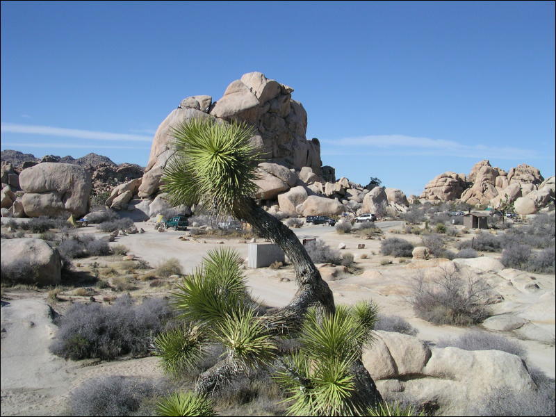 [Aoi_20060114_JoshuaTree035.jpg]