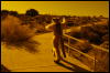 [Coffy 20060114 JoshuaTree012]