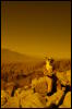 [Coffy 20060114 JoshuaTree019]