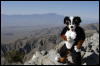 [Coffy 20060114 JoshuaTree027]