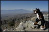 [Coffy 20060114 JoshuaTree028]