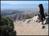 [Junkvist 20060114 JoshuaTree022]