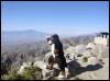 [Xavier 20060114 JoshuaTree 039]