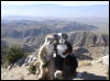 [Xavier 20060114 JoshuaTree 043]