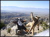 [Xavier 20060114 JoshuaTree 046]