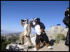 [Xavier 20060114 JoshuaTree 049]