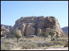 [Xavier 20060114 JoshuaTree 056]