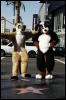 [Coffy 20060117 LA HollywoodBlvd 004]