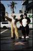 [Coffy 20060117 LA HollywoodBlvd 005]