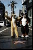[Coffy 20060117 LA HollywoodBlvd 006]