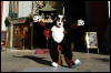 [Coffy 20060117 LA HollywoodBlvd 014]