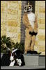 [Coffy 20060117 LA HollywoodBlvd 017]