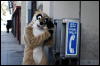 [Coffy 20060117 LA HollywoodBlvd 024]