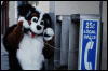 [Coffy 20060117 LA HollywoodBlvd 025]