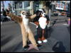 [Timduru 20060117 LA 002]