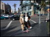 [Timduru 20060117 LA 003]