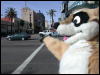 [Timduru 20060117 LA 006]