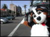 [Timduru 20060117 LA 007]