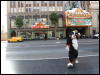 [Timduru 20060117 LA 011]