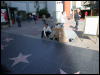 [Timduru 20060117 LA 014]