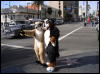 [Xavier 20060117 LA 008]
